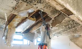 Environmental Consulting for Mold Prevention in South Waverly, PA